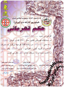 کیمیا امینی نایب قهرمان کاراته کشور